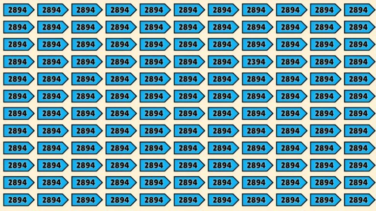 optical illusion, vision test, brain teaser, spot the number, 2394 challenge, 9 second challenge, focus and attention, visual puzzle, find the number, eye exam game,