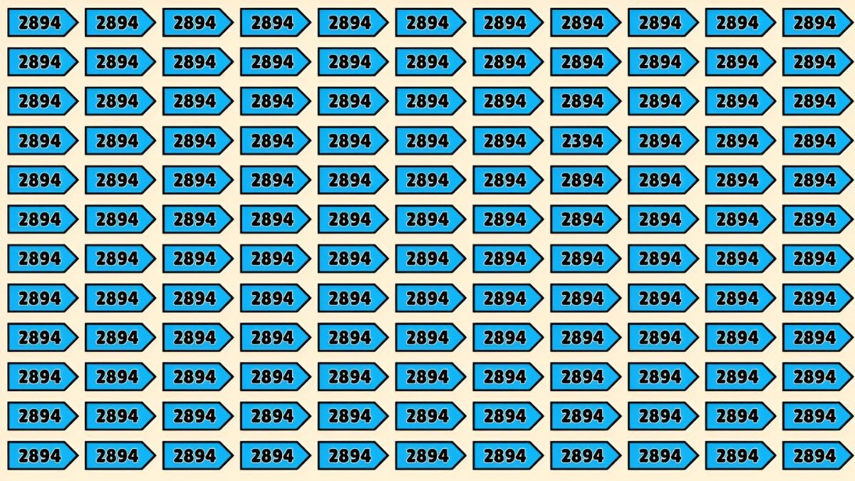 optical illusion, vision test, brain teaser, spot the number, 2394 challenge, 9 second challenge, focus and attention, visual puzzle, find the number, eye exam game,