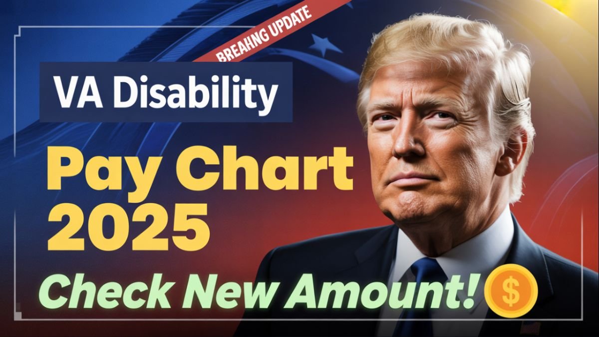 VA Disability Pay Chart 2025